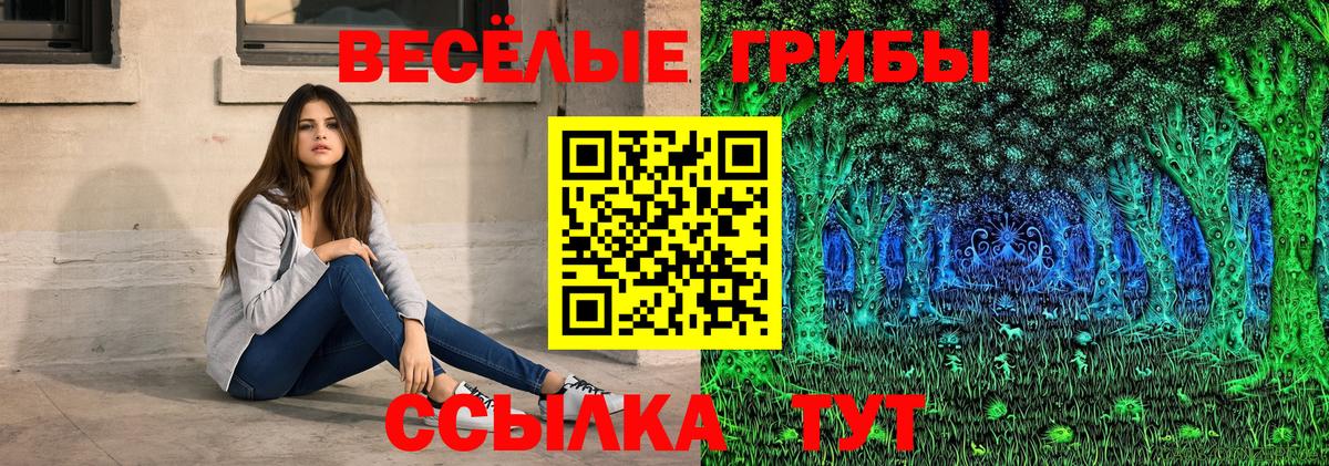 Татарск  Псилоцибиновые грибы прущие грибы  Вход с VPN 